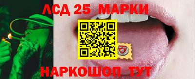 спиды Тара