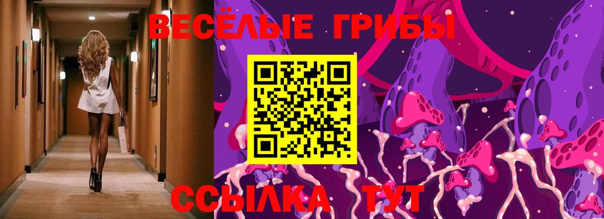 Псилоцибиновые грибы Psilocybine cubensis Мурманск